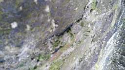 acastle
                          105300.jpg